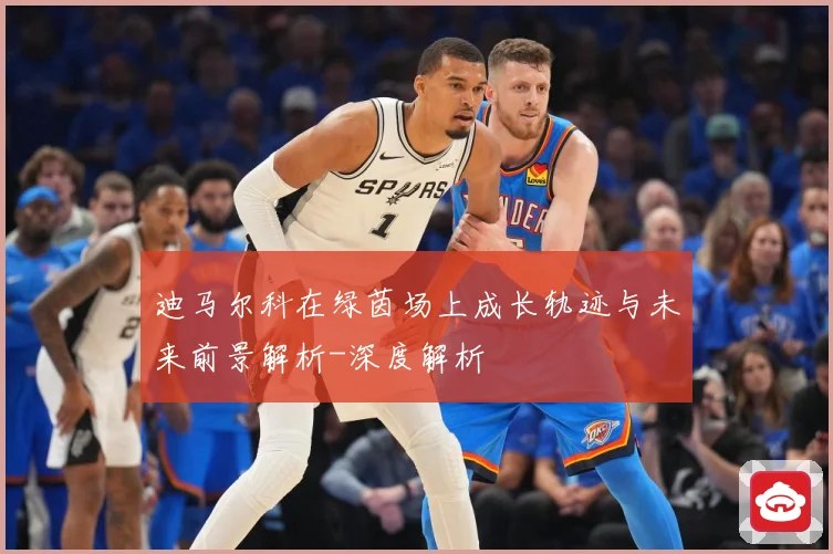 迪马尔科在绿茵场上成长轨迹与未来前景解析-深度解析