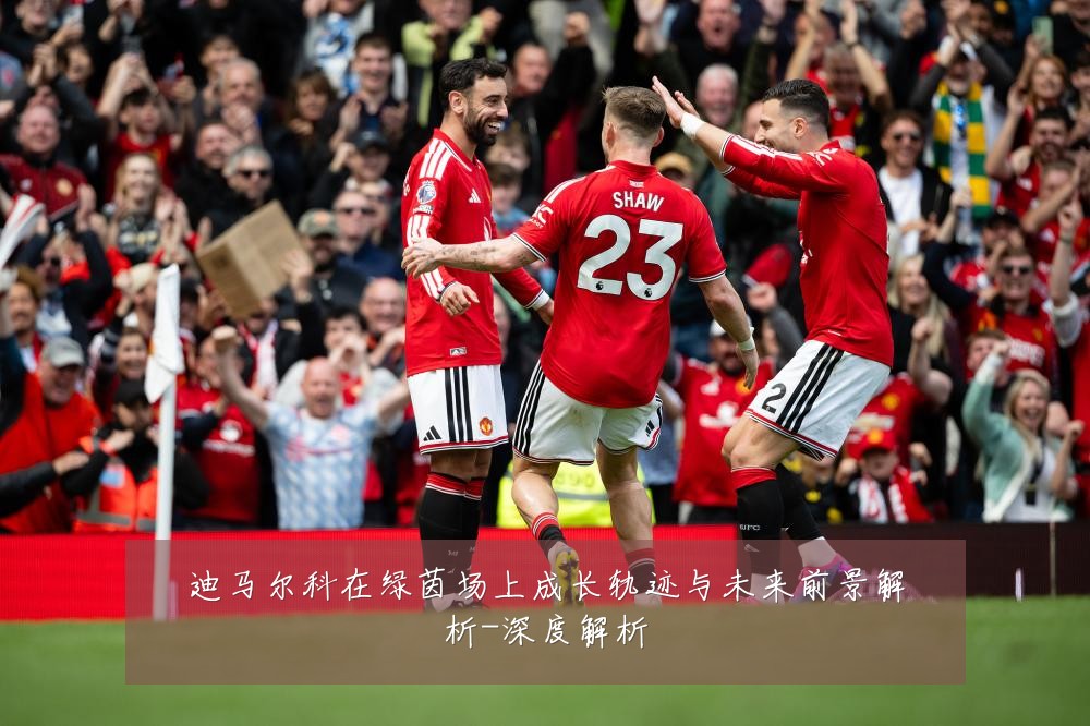 迪马尔科在绿茵场上成长轨迹与未来前景解析-深度解析